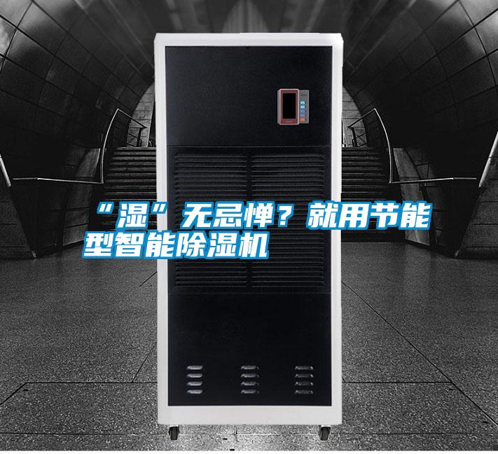 “濕”無忌憚？就用節能型智能除濕機