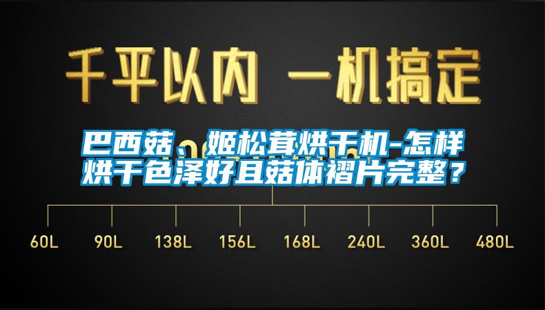 巴西菇、姬松茸烘干機-怎樣烘干色澤好且菇體褶片完整？