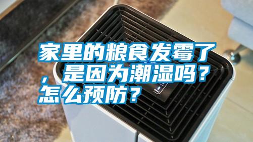 家里的糧食發霉了，是因為潮濕嗎？怎么預防？