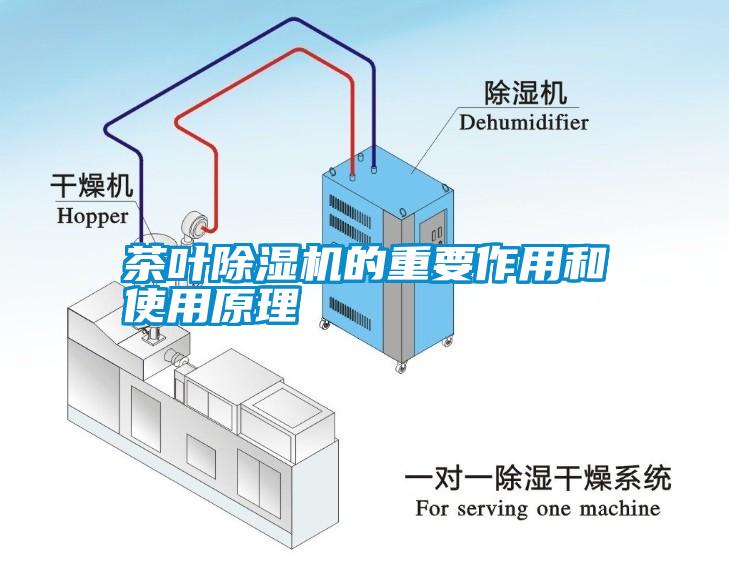 茶葉除濕機的重要作用和使用原理