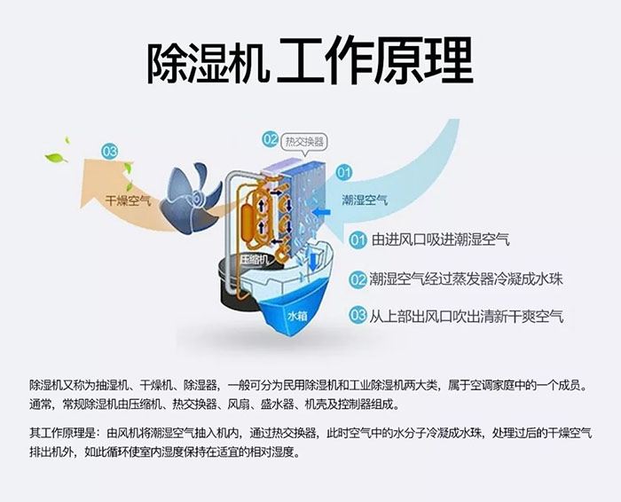 中藥材怎么烘干不變色？中藥材烘干用除濕機