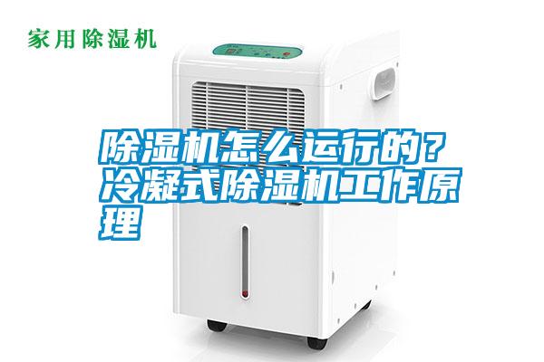 除濕機怎么運行的？冷凝式除濕機工作原理