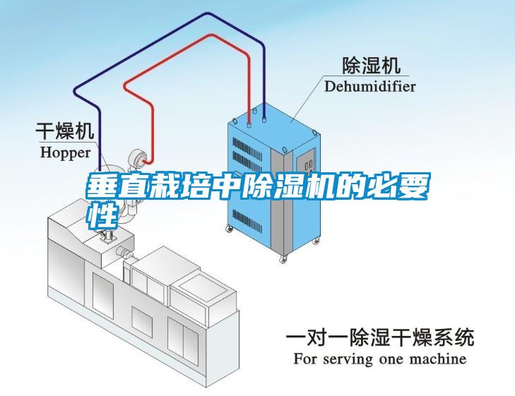 垂直栽培中除濕機的必要性