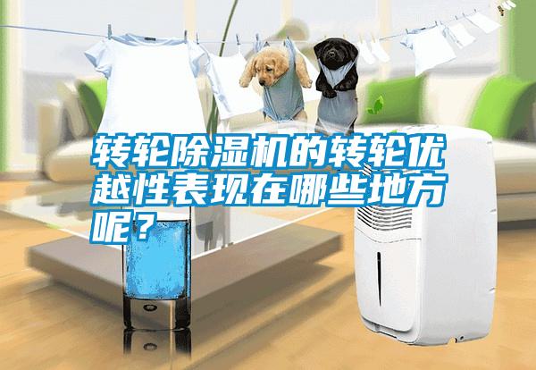 轉輪除濕機的轉輪優越性表現在哪些地方呢？