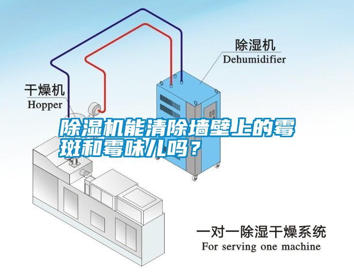 除濕機能清除墻壁上的霉斑和霉味兒嗎？