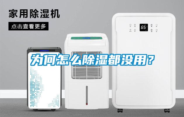 為何怎么除濕都沒用？