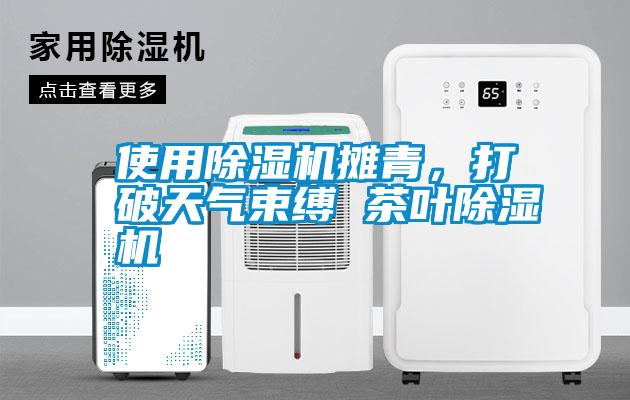 使用除濕機攤青，打破天氣束縛 茶葉除濕機