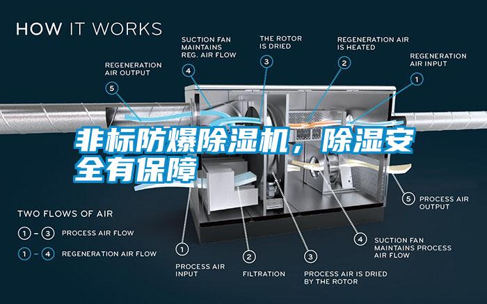 非標(biāo)防爆除濕機，除濕安全有保障