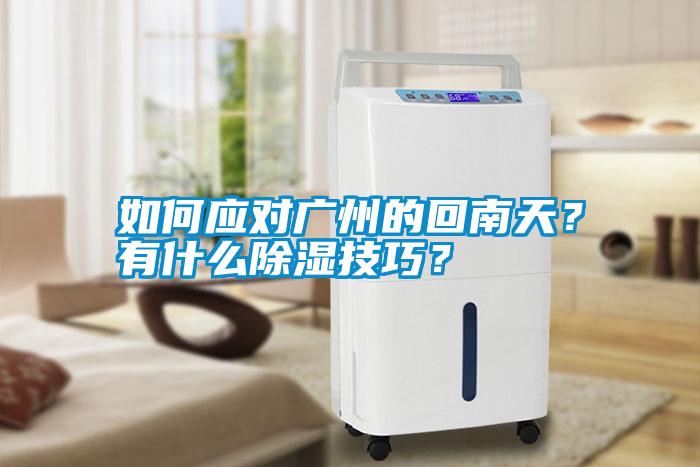 如何應(yīng)對廣州的回南天？有什么除濕技巧？