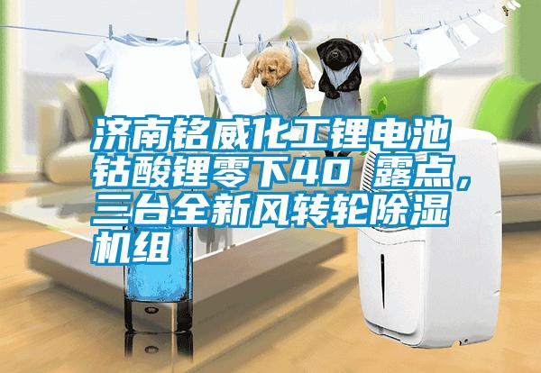 濟南銘威化工鋰電池鈷酸鋰零下40℃露點，三臺全新風轉輪除濕機組