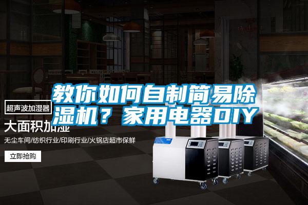 教你如何自制簡易除濕機？家用電器DIY