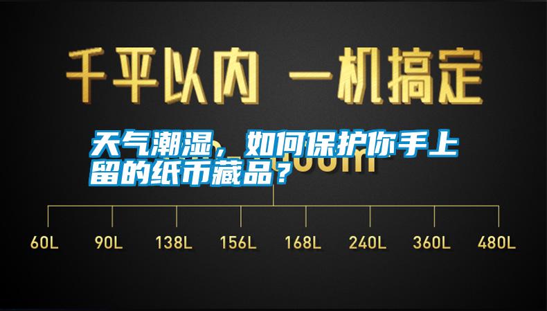 天氣潮濕，如何保護你手上留的紙幣藏品？