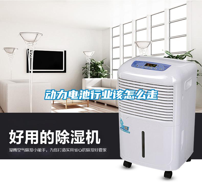 動力電池行業該怎么走