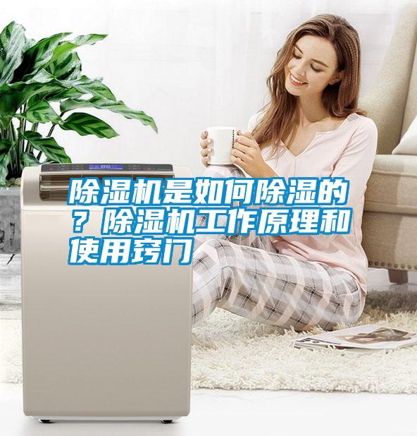 除濕機是如何除濕的？除濕機工作原理和使用竅門