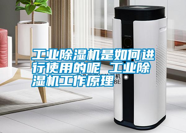 工業除濕機是如何進行使用的呢 工業除濕機工作原理