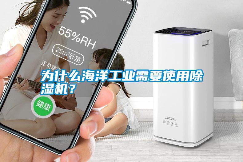 為什么海洋工業需要使用除濕機？