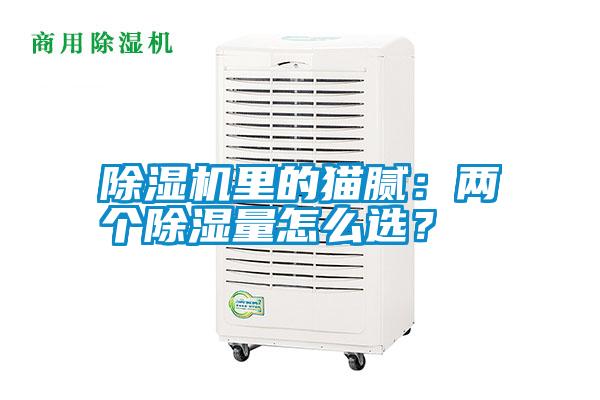 除濕機里的貓膩：兩個除濕量怎么選？