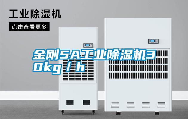 金剛5A工業除濕機30kg／h