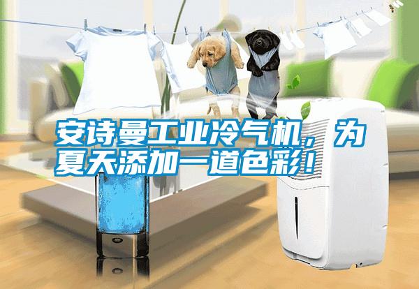 安詩曼工業冷氣機，為夏天添加一道色彩！