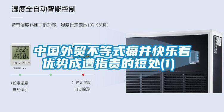 中國外貿不等式痛并快樂著 優勢成遭指責的短處(1)