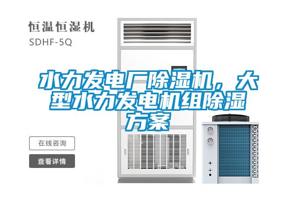 水力發電廠除濕機，大型水力發電機組除濕方案