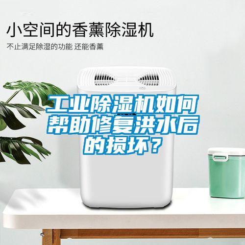 工業除濕機如何幫助修復洪水后的損壞？