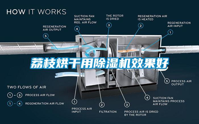 荔枝烘干用除濕機效果好