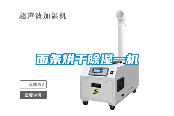 面條烘干除濕一機