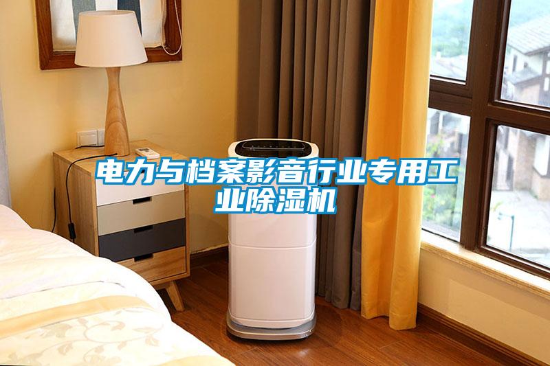 電力與檔案影音行業專用工業除濕機