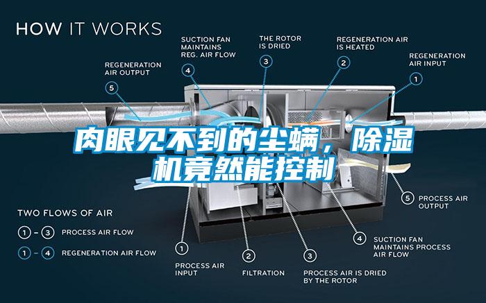 肉眼見不到的塵螨，除濕機竟然能控制