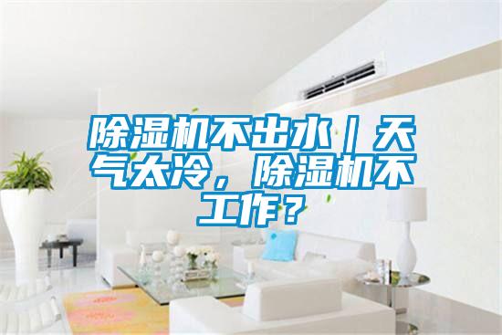 除濕機不出水｜天氣太冷，除濕機不工作？