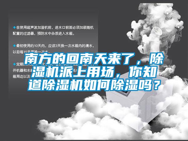 南方的回南天來了，除濕機派上用場，你知道除濕機如何除濕嗎？