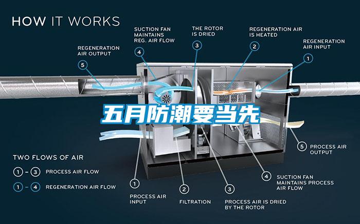 五月防潮要當先