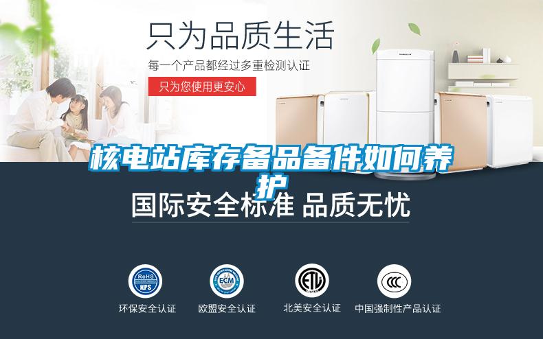 核電站庫存備品備件如何養護