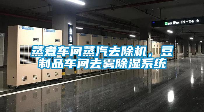 蒸煮車間蒸汽去除機，豆制品車間去霧除濕系統