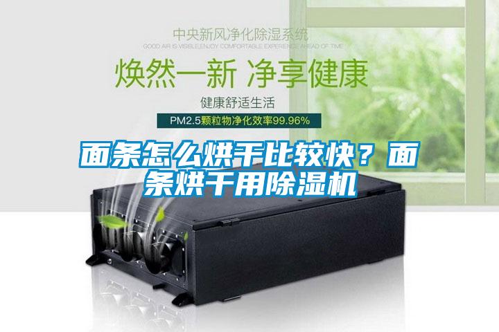 面條怎么烘干比較快？面條烘干用除濕機