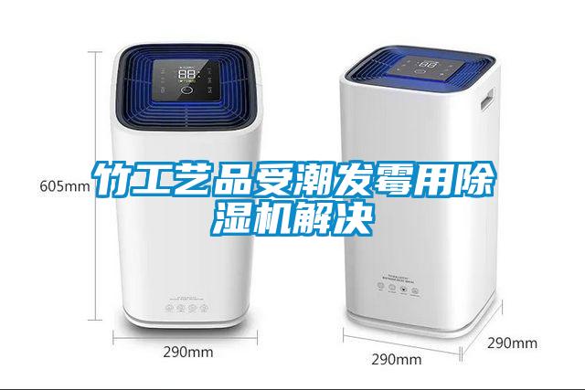 竹工藝品受潮發霉用除濕機解決