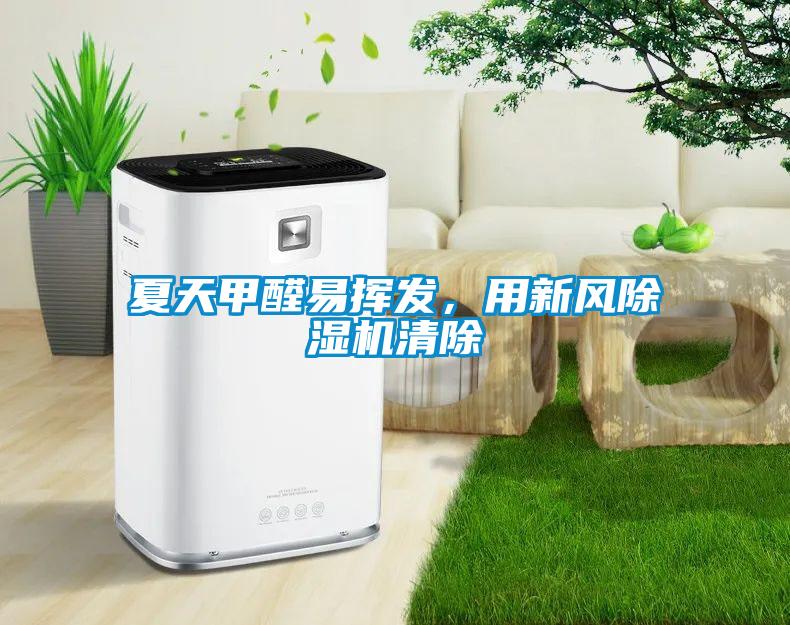 夏天甲醛易揮發，用新風除濕機清除