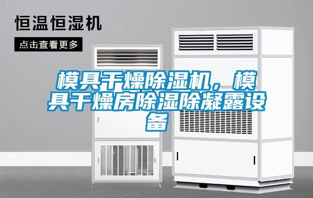 模具干燥除濕機，模具干燥房除濕除凝露設備