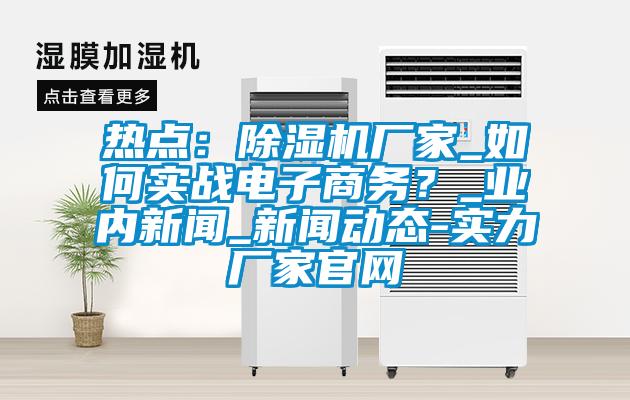 熱點：除濕機廠家_如何實戰電子商務？_業內新聞_新聞動態-實力廠家官網