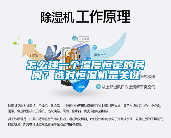 怎么建一個濕度恒定的房間？選對恒濕機是關鍵