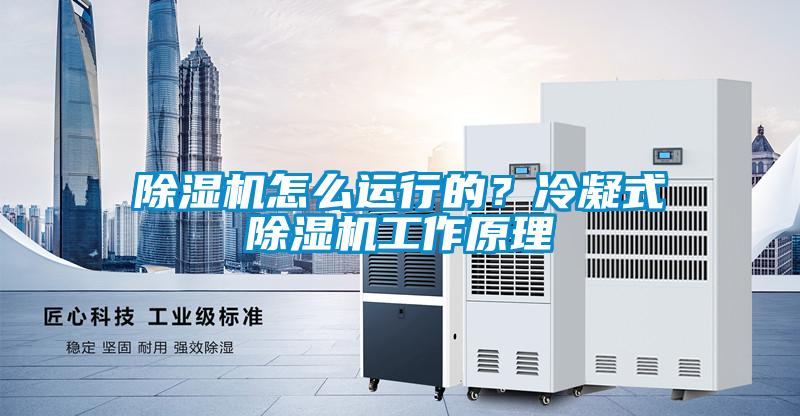 除濕機怎么運行的？冷凝式除濕機工作原理