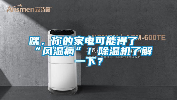 嘿，你的家電可能得了“風(fēng)濕病”！除濕機(jī)了解一下？