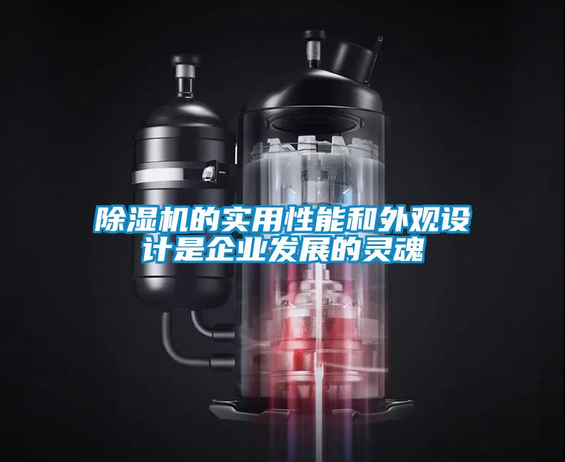 除濕機的實用性能和外觀設計是企業發展的靈魂