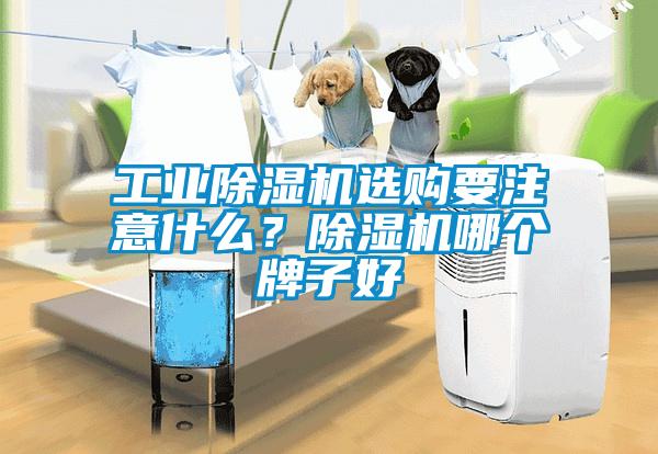 工業除濕機選購要注意什么？除濕機哪個牌子好