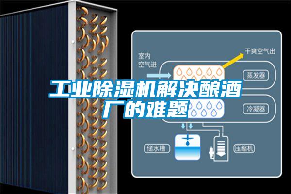 工業除濕機解決釀酒廠的難題