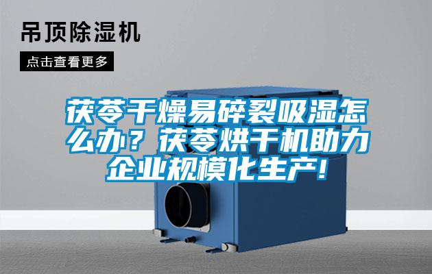 茯苓干燥易碎裂吸濕怎么辦？茯苓烘干機助力企業規模化生產!