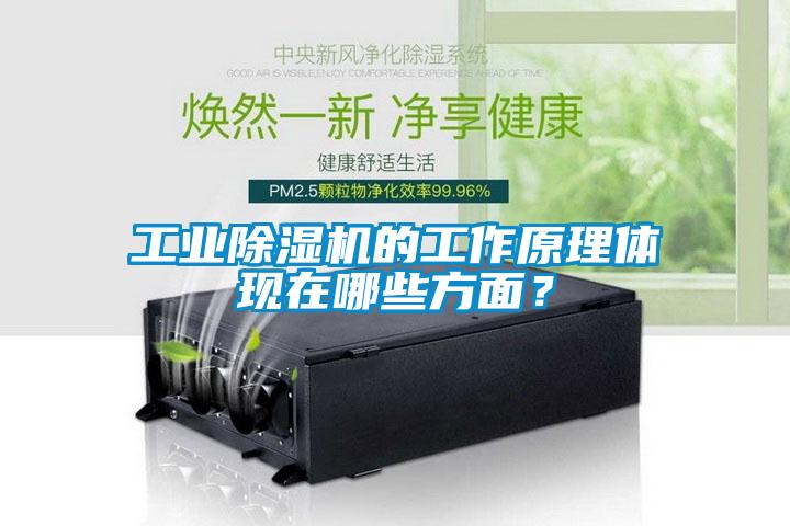 工業除濕機的工作原理體現在哪些方面？