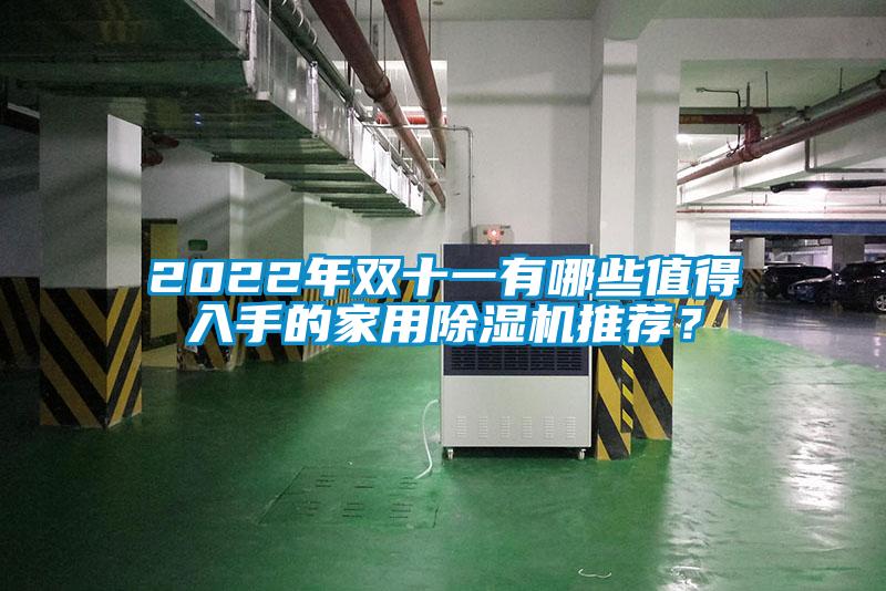 2022年雙十一有哪些值得入手的家用除濕機(jī)推薦？