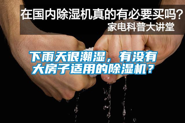 下雨天很潮濕，有沒有大房子適用的除濕機？